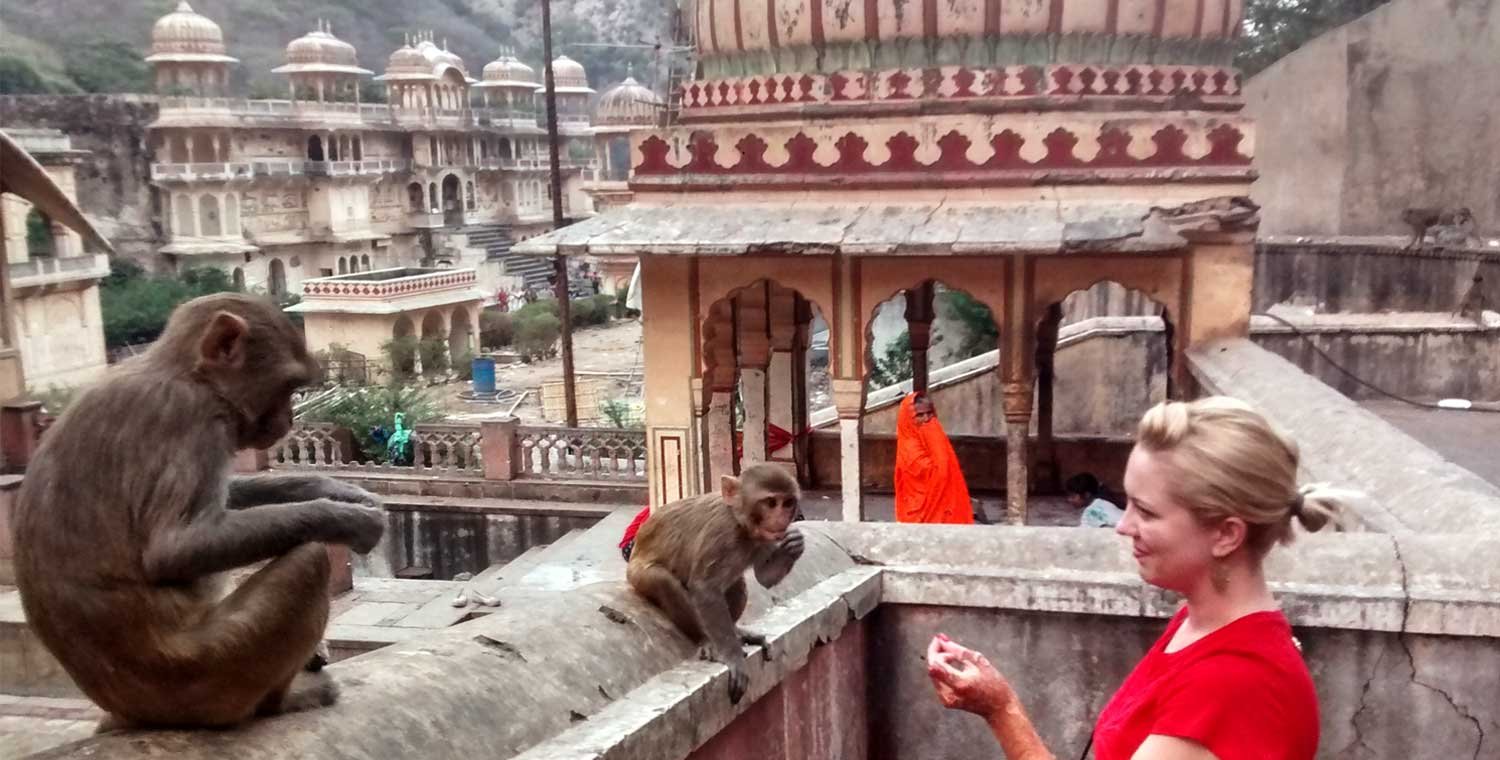 Ride to Galta Ji – (The Monkey Temple)