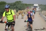 Jaipur-full-day-cycling-tour