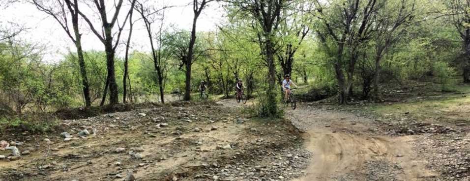 Wildlife Cycling in Rajasthan