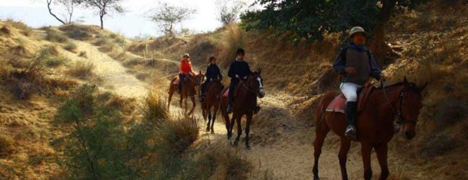 Horse Safari in Rajasthan India