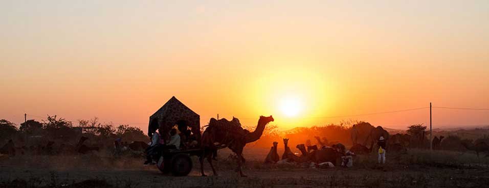 Rajasthan Tour