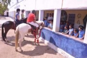 Boraj-horseback-safari
