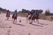 Horseback-tours-in-Rajasthan-INDIA
