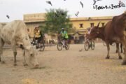 old-city-cycle-tour-jaipur