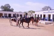 horse riding in jaipur