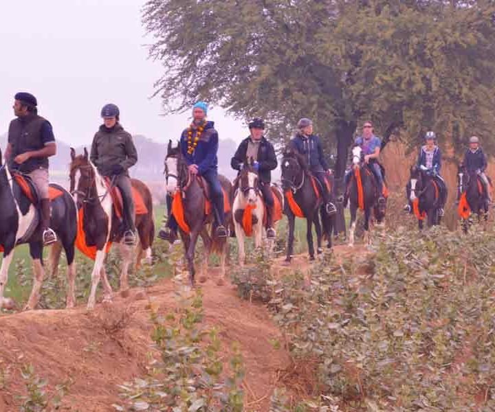 horse riding in india