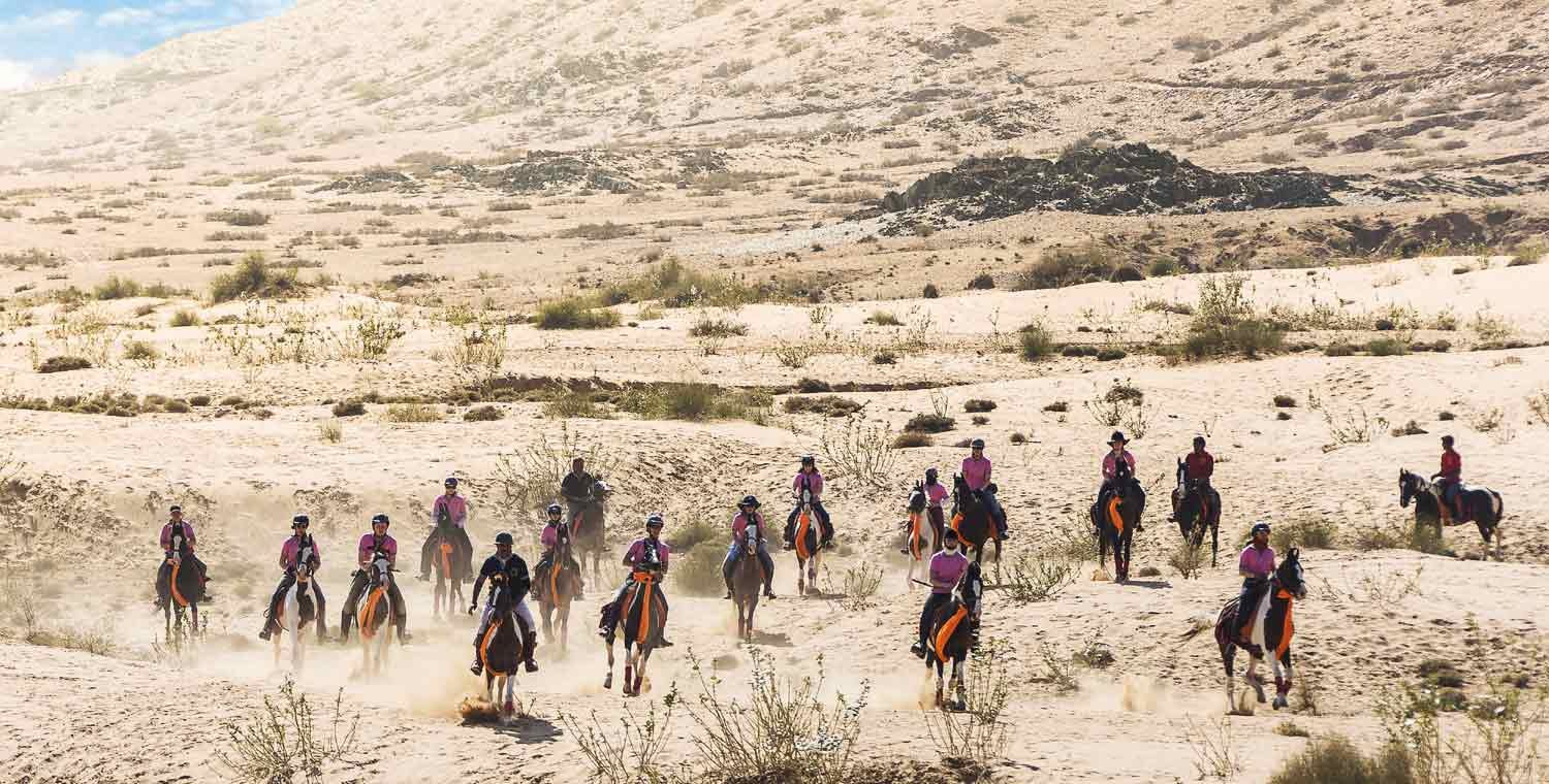 Horse Riding Holidays Tour in Rajasthan